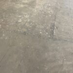 E6B106F8-F1DC-4E89-95CD-496C6324053E_1_105_c